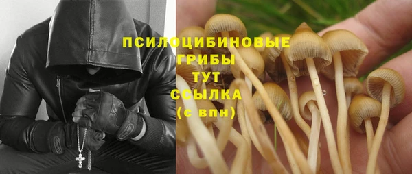 PSILOCYBIN Арсеньев