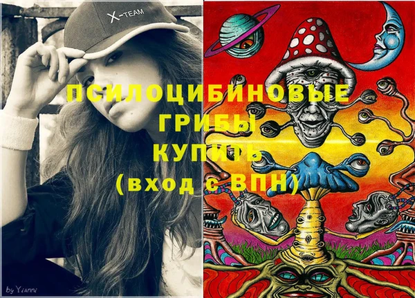 PSILOCYBIN Арсеньев