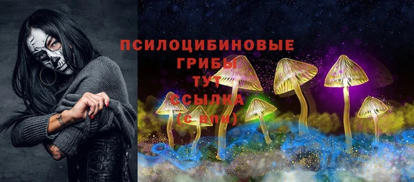PSILOCYBIN Арсеньев