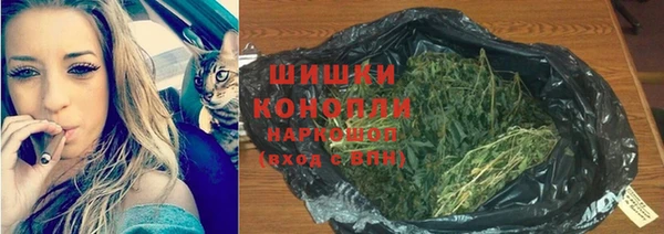 PSILOCYBIN Арсеньев