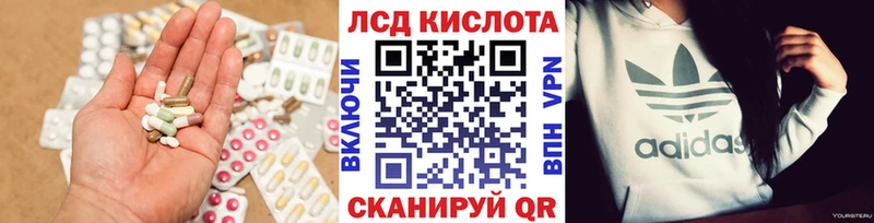 дарнет шоп  Курчалой  LSD-25 экстази кислота 
