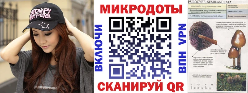 дарк нет клад  Курчалой  Псилоцибиновые грибы прущие грибы 