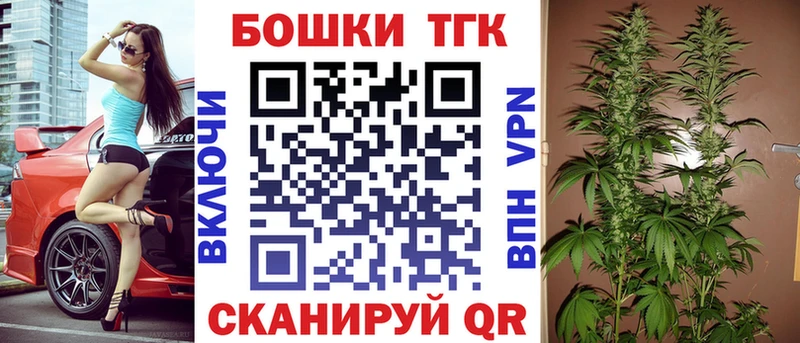 наркотики  Курчалой  Канабис конопля 